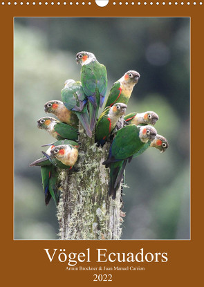 Vögel Ecuadors (Wandkalender 2022 DIN A3 hoch) von Brockner,  Armin