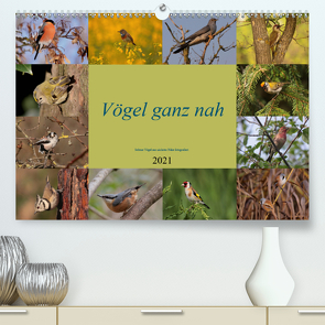 Vögel ganz nah (Premium, hochwertiger DIN A2 Wandkalender 2021, Kunstdruck in Hochglanz) von Erlwein,  Winfried