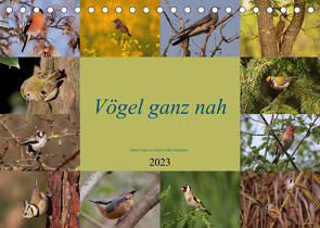 Vögel ganz nah (Tischkalender 2023 DIN A5 quer) von Erlwein,  Winfried