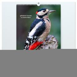 Vögel – gefiederte Freunde in unserer Natur (hochwertiger Premium Wandkalender 2024 DIN A2 hoch), Kunstdruck in Hochglanz von Roder,  Peter