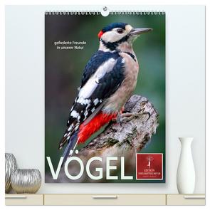 Vögel – gefiederte Freunde in unserer Natur (hochwertiger Premium Wandkalender 2024 DIN A2 hoch), Kunstdruck in Hochglanz von Roder,  Peter