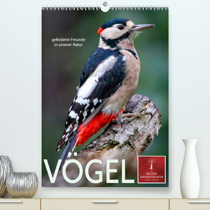 Vögel – gefiederte Freunde in unserer Natur (Premium, hochwertiger DIN A2 Wandkalender 2023, Kunstdruck in Hochglanz) von Roder,  Peter