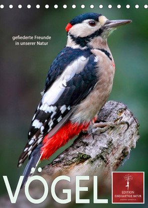 Vögel – gefiederte Freunde in unserer Natur (Tischkalender 2023 DIN A5 hoch) von Roder,  Peter