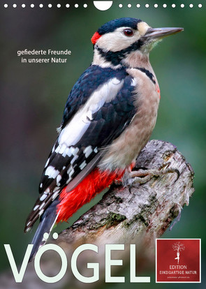 Vögel – gefiederte Freunde in unserer Natur (Wandkalender 2023 DIN A4 hoch) von Roder,  Peter