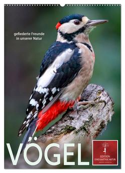 Vögel – gefiederte Freunde in unserer Natur (Wandkalender 2024 DIN A2 hoch), CALVENDO Monatskalender von Roder,  Peter