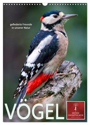 Vögel – gefiederte Freunde in unserer Natur (Wandkalender 2024 DIN A3 hoch), CALVENDO Monatskalender von Roder,  Peter