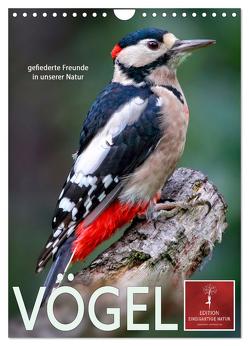 Vögel – gefiederte Freunde in unserer Natur (Wandkalender 2024 DIN A4 hoch), CALVENDO Monatskalender von Roder,  Peter