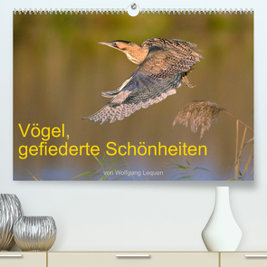 Vögel, Gefiederte Schönheiten (Premium, hochwertiger DIN A2 Wandkalender 2023, Kunstdruck in Hochglanz) von Lequen,  Wolfgang