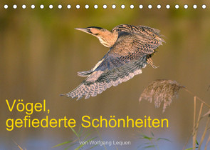 Vögel, Gefiederte Schönheiten (Tischkalender 2023 DIN A5 quer) von Lequen,  Wolfgang