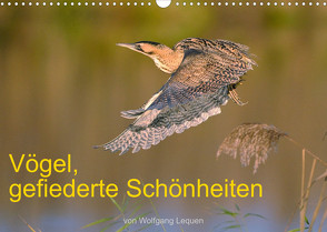 Vögel, Gefiederte Schönheiten (Wandkalender 2022 DIN A3 quer) von Lequen,  Wolfgang