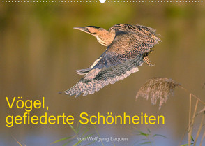 Vögel, Gefiederte Schönheiten (Wandkalender 2023 DIN A2 quer) von Lequen,  Wolfgang