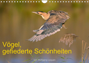 Vögel, Gefiederte Schönheiten (Wandkalender 2023 DIN A4 quer) von Lequen,  Wolfgang