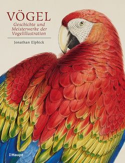 Vögel – Geschichte und Meisterwerke der Vogelillustration von Elphick,  Jonathan, Niehaus,  Monika, Wink,  Coralie, Wissmann,  Jorunn