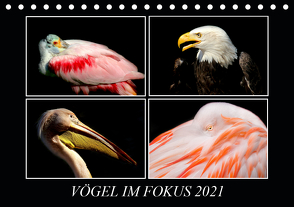 Vögel im Fokus 2021 (Tischkalender 2021 DIN A5 quer) von Hamburg, Mirko Weigt,  ©