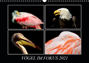 Vögel im Fokus 2021 (Wandkalender 2021 DIN A3 quer) von Hamburg, Mirko Weigt,  ©