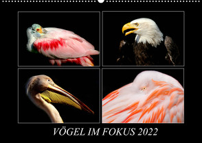 Vögel im Fokus 2022 (Wandkalender 2022 DIN A2 quer) von Hamburg, Mirko Weigt,  ©