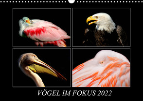 Vögel im Fokus 2022 (Wandkalender 2022 DIN A3 quer) von Hamburg, Mirko Weigt,  ©