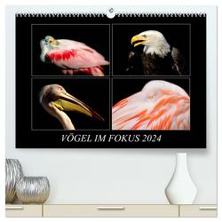 Vögel im Fokus 2024 (hochwertiger Premium Wandkalender 2024 DIN A2 quer), Kunstdruck in Hochglanz von Mirko Weigt,  Hamburg,  ©