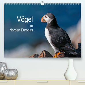 Vögel im Norden Europas (Premium, hochwertiger DIN A2 Wandkalender 2021, Kunstdruck in Hochglanz) von Thoma,  Martin