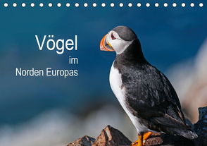 Vögel im Norden Europas (Tischkalender 2021 DIN A5 quer) von Thoma,  Martin