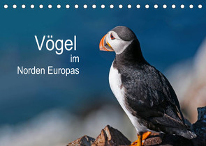 Vögel im Norden Europas (Tischkalender 2022 DIN A5 quer) von Thoma,  Martin