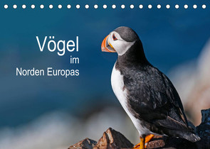 Vögel im Norden Europas (Tischkalender 2023 DIN A5 quer) von Thoma,  Martin