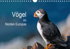 Vögel im Norden Europas (Wandkalender 2021 DIN A4 quer) von Thoma,  Martin