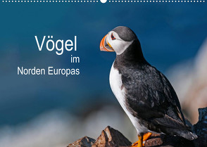 Vögel im Norden Europas (Wandkalender 2022 DIN A2 quer) von Thoma,  Martin