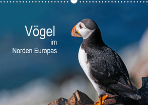 Vögel im Norden Europas (Wandkalender 2022 DIN A3 quer) von Thoma,  Martin