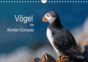 Vögel im Norden Europas (Wandkalender 2022 DIN A4 quer) von Thoma,  Martin