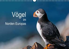 Vögel im Norden Europas (Wandkalender 2023 DIN A3 quer) von Thoma,  Martin