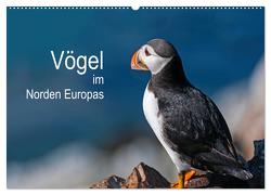 Vögel im Norden Europas (Wandkalender 2024 DIN A2 quer), CALVENDO Monatskalender von Thoma,  Martin