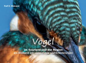 Vögel im Saarland und der Region von Weinand,  Ralf D.