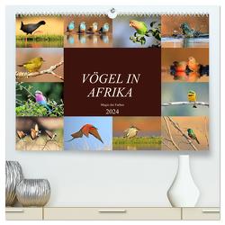 Vögel in Afrika – Magie der Farben (hochwertiger Premium Wandkalender 2024 DIN A2 quer), Kunstdruck in Hochglanz von Herzog,  Michael