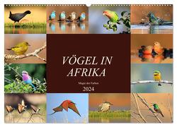 Vögel in Afrika – Magie der Farben (Wandkalender 2024 DIN A2 quer), CALVENDO Monatskalender von Herzog,  Michael