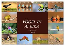 Vögel in Afrika – Magie der Farben (Wandkalender 2024 DIN A3 quer), CALVENDO Monatskalender von Herzog,  Michael