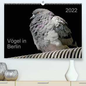 Vögel in Berlin (Premium, hochwertiger DIN A2 Wandkalender 2022, Kunstdruck in Hochglanz) von Mahrhofer,  Verena