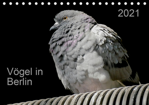 Vögel in Berlin (Tischkalender 2021 DIN A5 quer) von Mahrhofer,  Verena