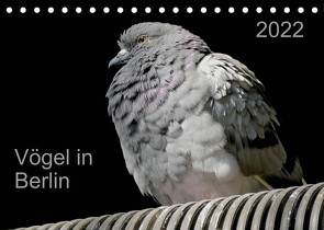 Vögel in Berlin (Tischkalender 2022 DIN A5 quer) von Mahrhofer,  Verena