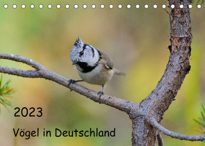 Vögel in Deutschland (Tischkalender 2023 DIN A5 quer) von Jähne,  Karin