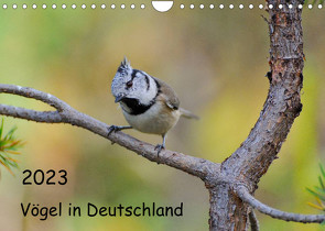 Vögel in Deutschland (Wandkalender 2023 DIN A4 quer) von Jähne,  Karin