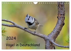 Vögel in Deutschland (Wandkalender 2024 DIN A4 quer), CALVENDO Monatskalender von Jähne,  Karin