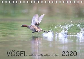 Vögel in Ost- und Norddeutschland 2020 (Tischkalender 2020 DIN A5 quer) von Jansen,  Rolf