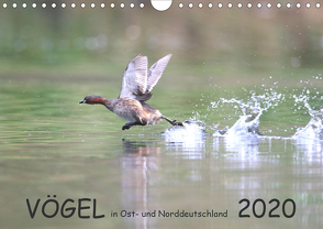 Vögel in Ost- und Norddeutschland 2020 (Wandkalender 2020 DIN A4 quer) von Jansen,  Rolf