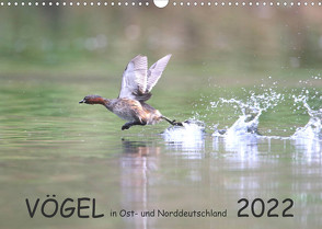 Vögel in Ost- und Norddeutschland 2022 (Wandkalender 2022 DIN A3 quer) von Jansen,  Rolf