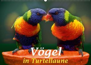 Vögel in Turtellaune (Wandkalender 2019 DIN A2 quer) von Brunner-Klaus,  Liselotte