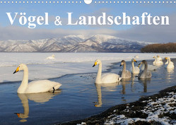 Vögel & Landschaften (Wandkalender 2023 DIN A3 quer) von birdimagency.com