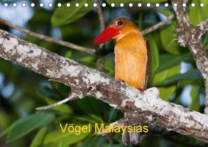 Vögel Malaysias – Birds of Malaysia (Tischkalender 2018 DIN A5 quer) von D. Weinand,  Ralf