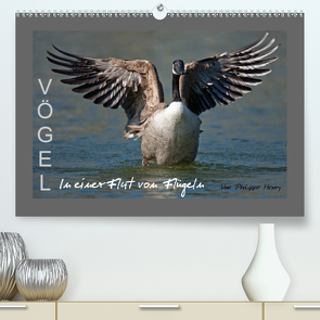 VÖGEL (Premium, hochwertiger DIN A2 Wandkalender 2021, Kunstdruck in Hochglanz) von Henry,  Philippe