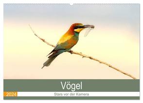 Vögel Stars vor der Kamera (Wandkalender 2024 DIN A2 quer), CALVENDO Monatskalender von R Bogner,  J